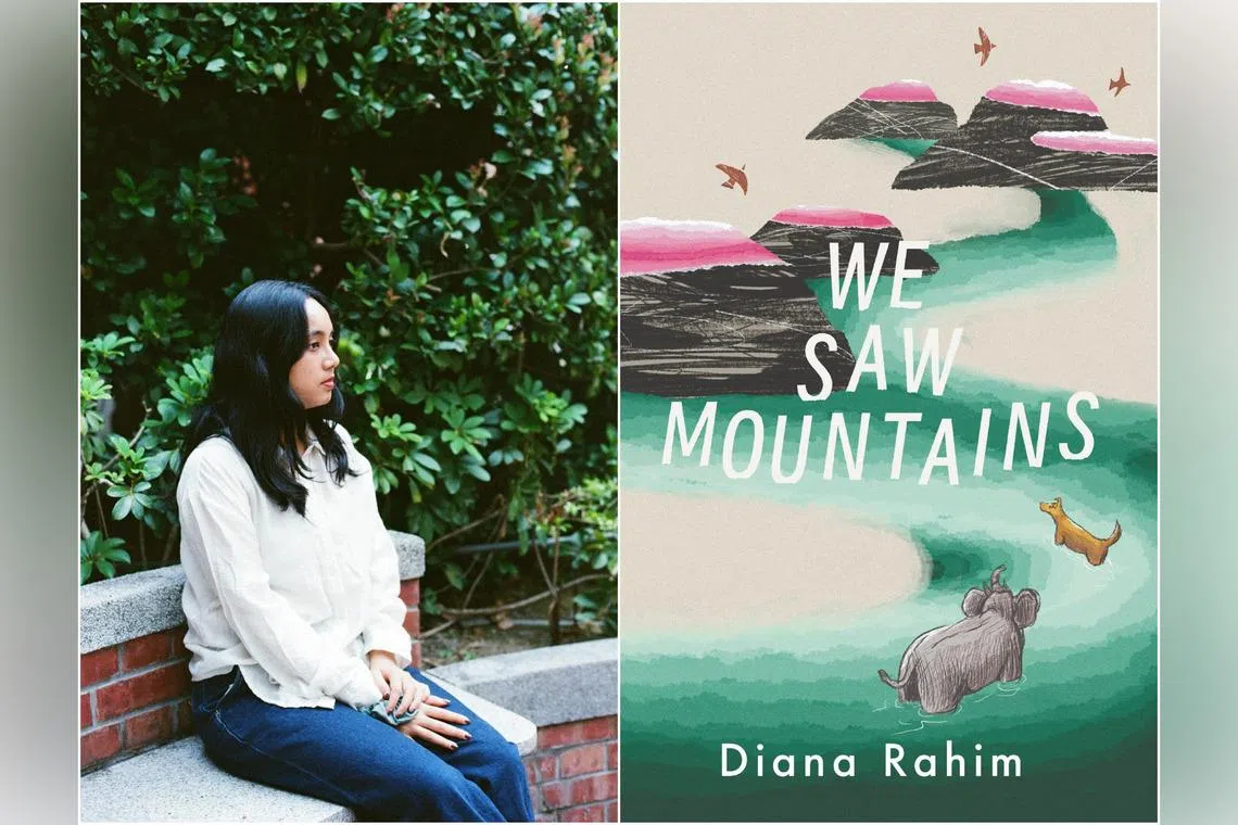 The eclectic clutch of nine stories are united by author Diana Rahim's unique worldview.