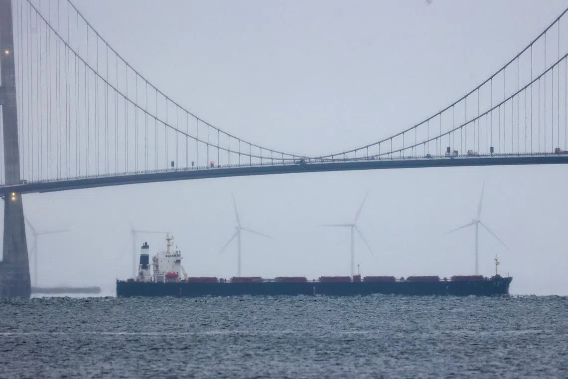 Chinese bulk carrier Yi Peng 3 sails under the Great Belt bridge, in Korsor, Denmark, November 19, 2024. REUTERS/Yoruk Isik