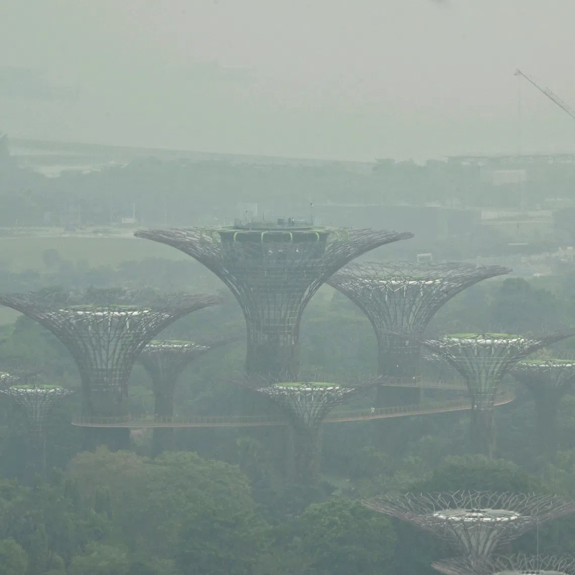 Hazy conditions seen over the Supertree Grove at Gardens by the Bay from the Singapore Flyer at around 5pm on Oct 9.