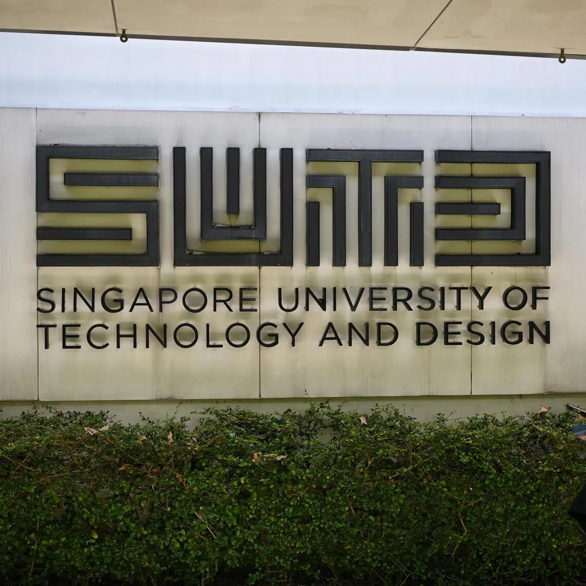The SUTD community can now access to a range of leading artificial intelligence (AI) models through a common university platform.