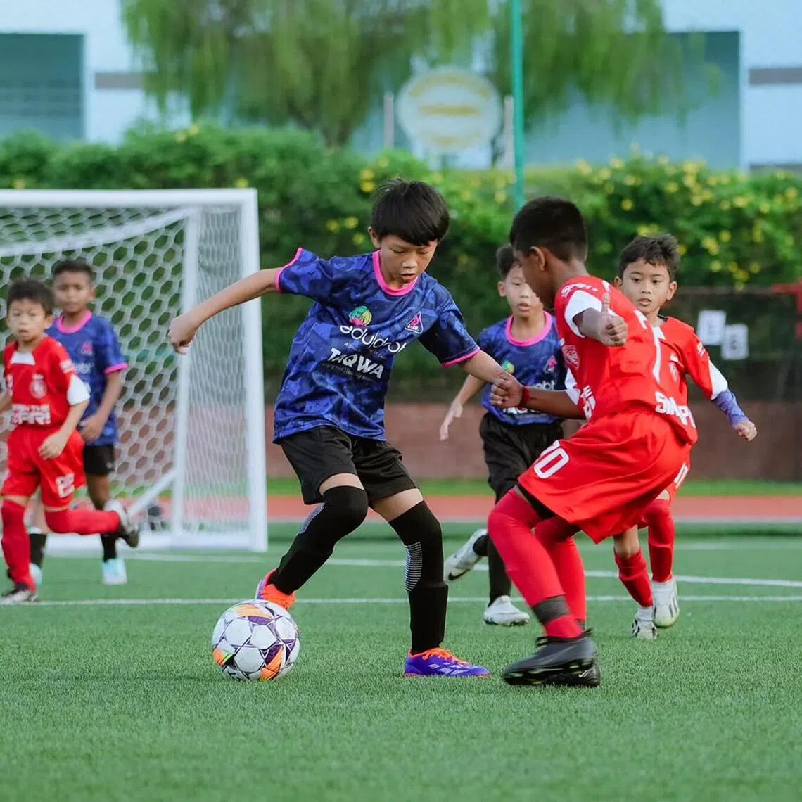 The inaugural Singapore Premier Youth League season will feature 57 teams across seven age categories from Under-10 to Under-19.