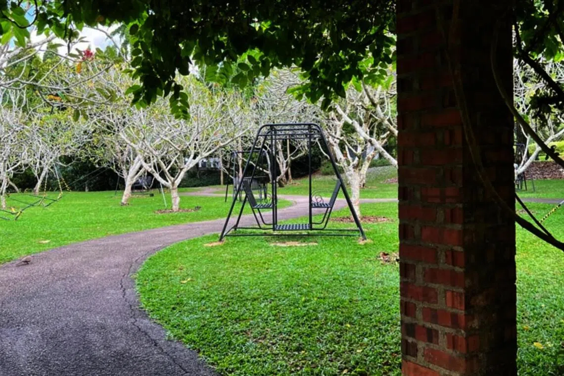 The writer spent hours moving from swing to swing in the Singapore Botanic Gardens in 2023 while looking at the trees, sky, families, dogs, and joggers.