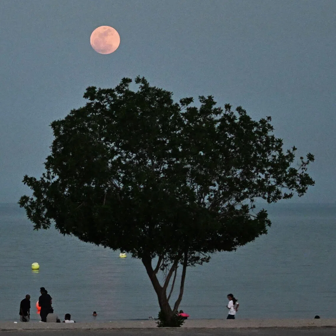 People walking along the promenade in Kuwait City on May 1.