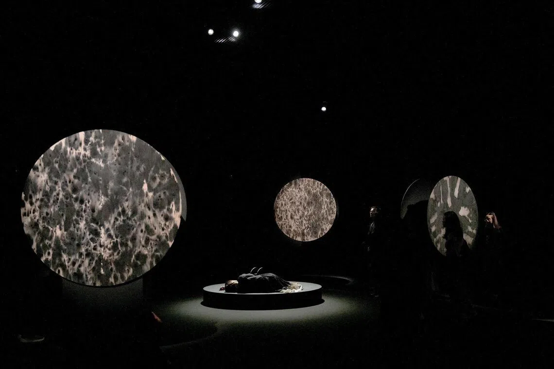 Joanna Dong asks questions of existence amid Dawn Ng’s painting-sculptures.
