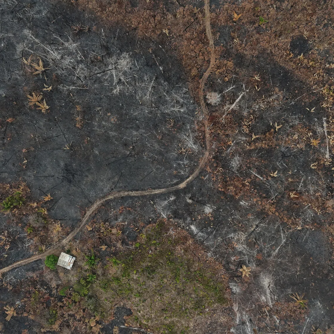 A drone view of a deforested area in the rainforest, burned by wildfire during the dry season, in the municipality of Autazes, in the state of Amazonas, Brazil.