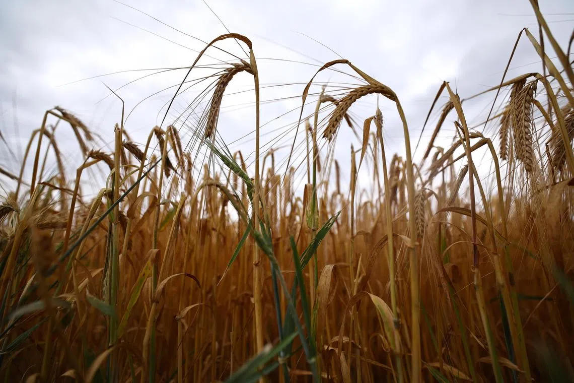 The USDA will also curb farmland purchases by “foreign adversaries”, including China.