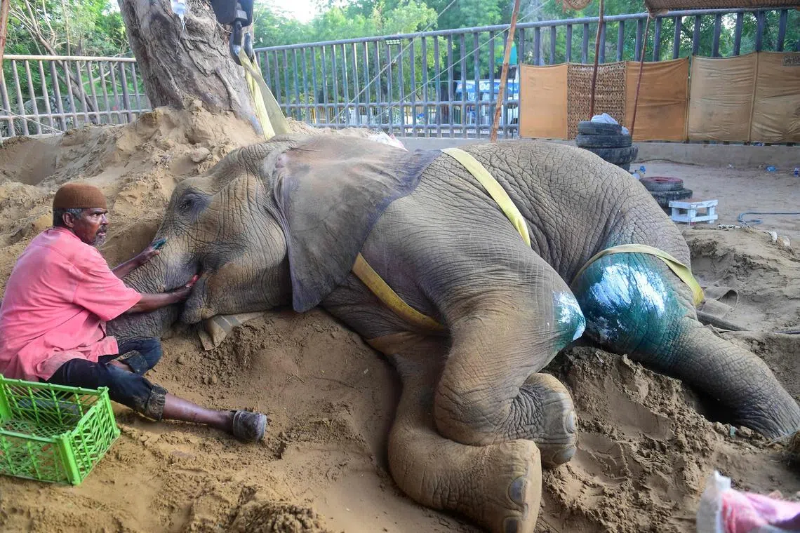 Noor Jehan is said to be suffering from a huge hematoma, or pool of clotted blood, inside her abdomen, in addition to intestinal issues.