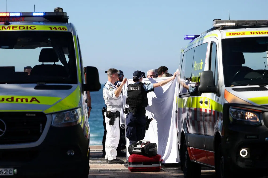 Woman seriously injured in shark attack at Sydney beach
