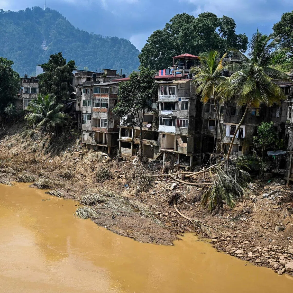 Uprooted trees lie along damaged buildings following a landslide in the aftermath of Cyclone Ditwah in Gampola town, in Kandy district on Dec 4, 2025. 