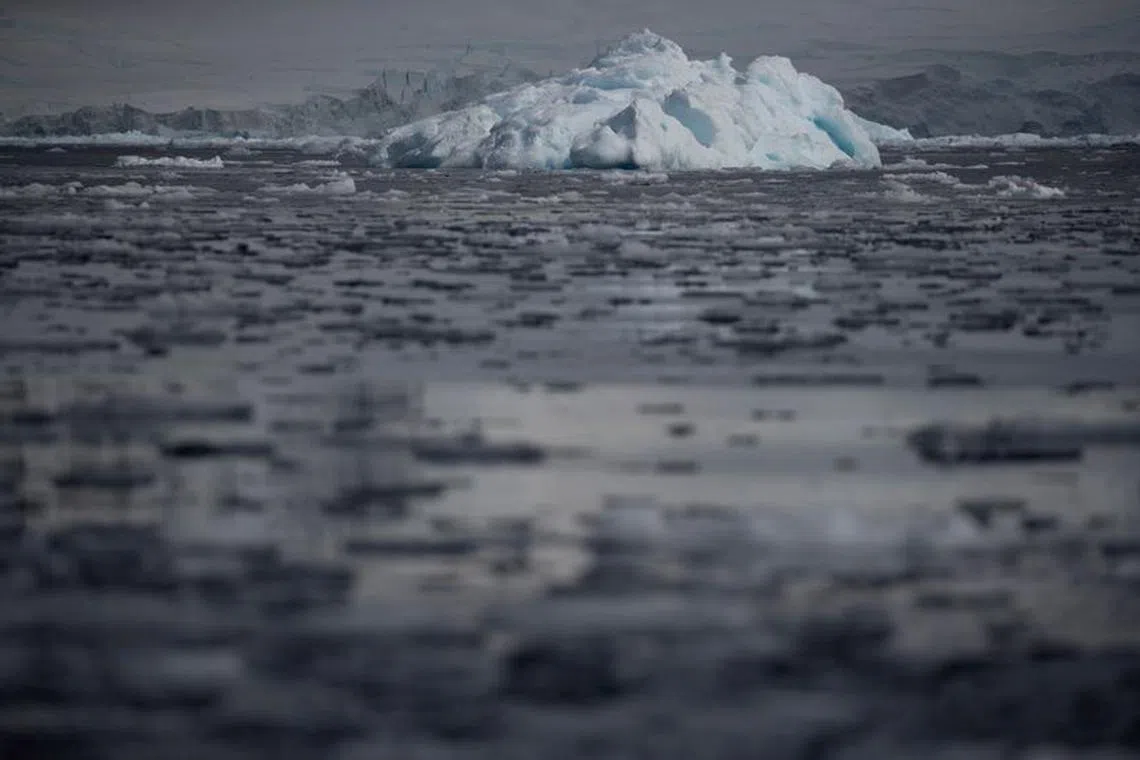 FILE PHOTO: Small chunks of ice float on the water near Fournier Bay, Antarctica, February 3, 2020. REUTERS/Ueslei Marcelino/File Photo