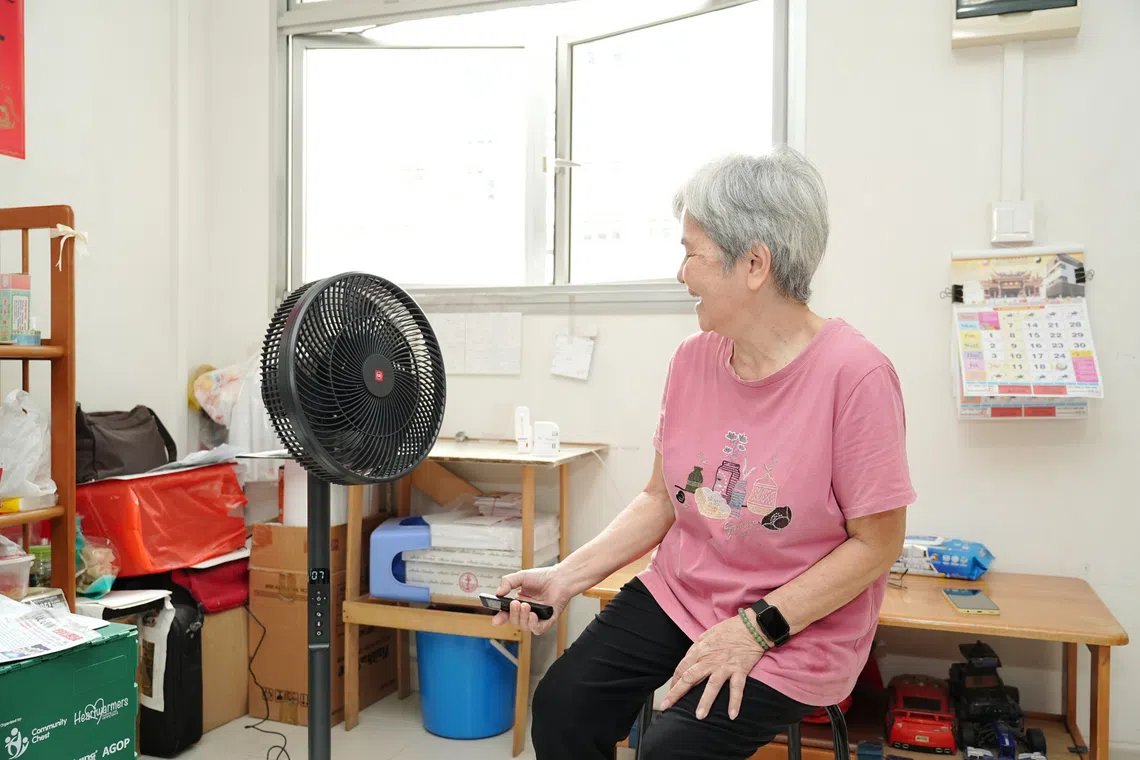 punggol north resident fans