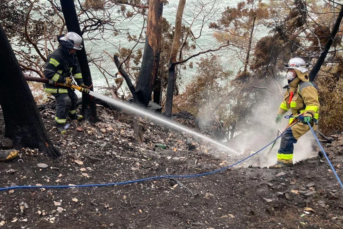 Firefighters battling a wildfire in Ofunato city of Iwate Prefecture on March 6, 2025.