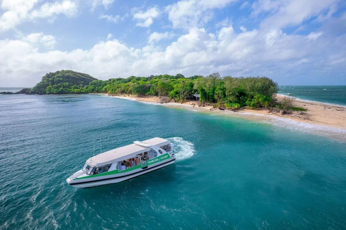 The Great Barrier Reef glass-bottom boat rides