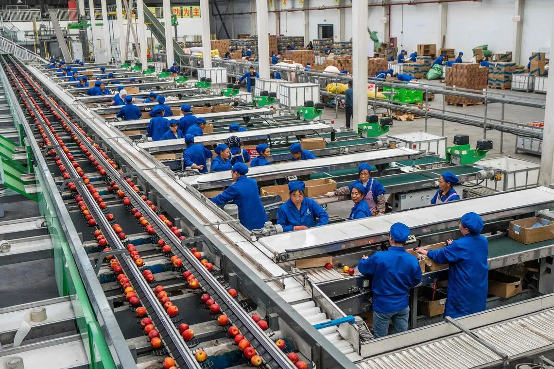 The purchasing managers’ index adds to signs of stabilisation in China's economy.