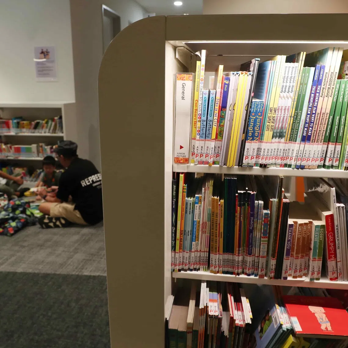 Books that qualify include fiction, poetry, plays and literary short essays in all four official languages authored by a Singapore citizen or permanent resident.