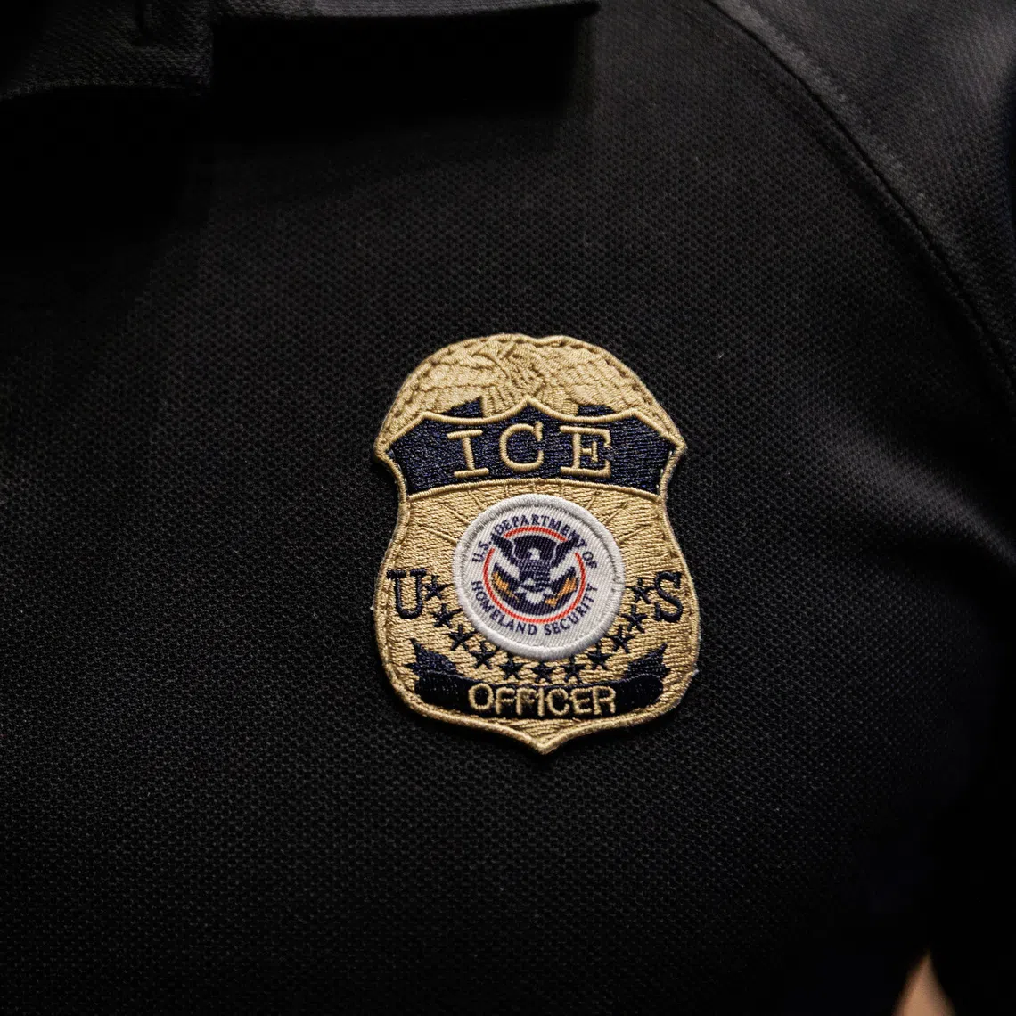 Chicago Immigration Court Judge Jayme Salinardi sided with the government’s claim that the mosque leader posed a security threat.