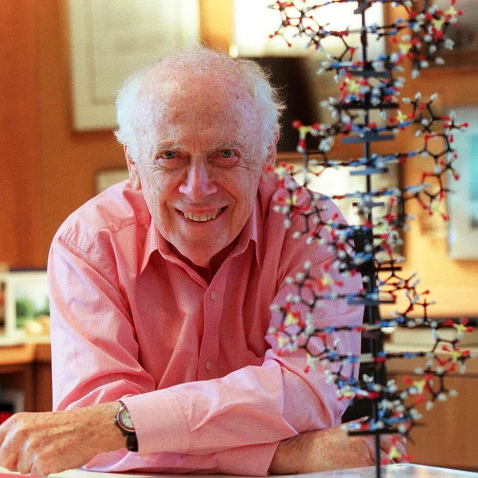 James Watson was co-discoverer of DNA’s double-helix structure, with Francis Crick.