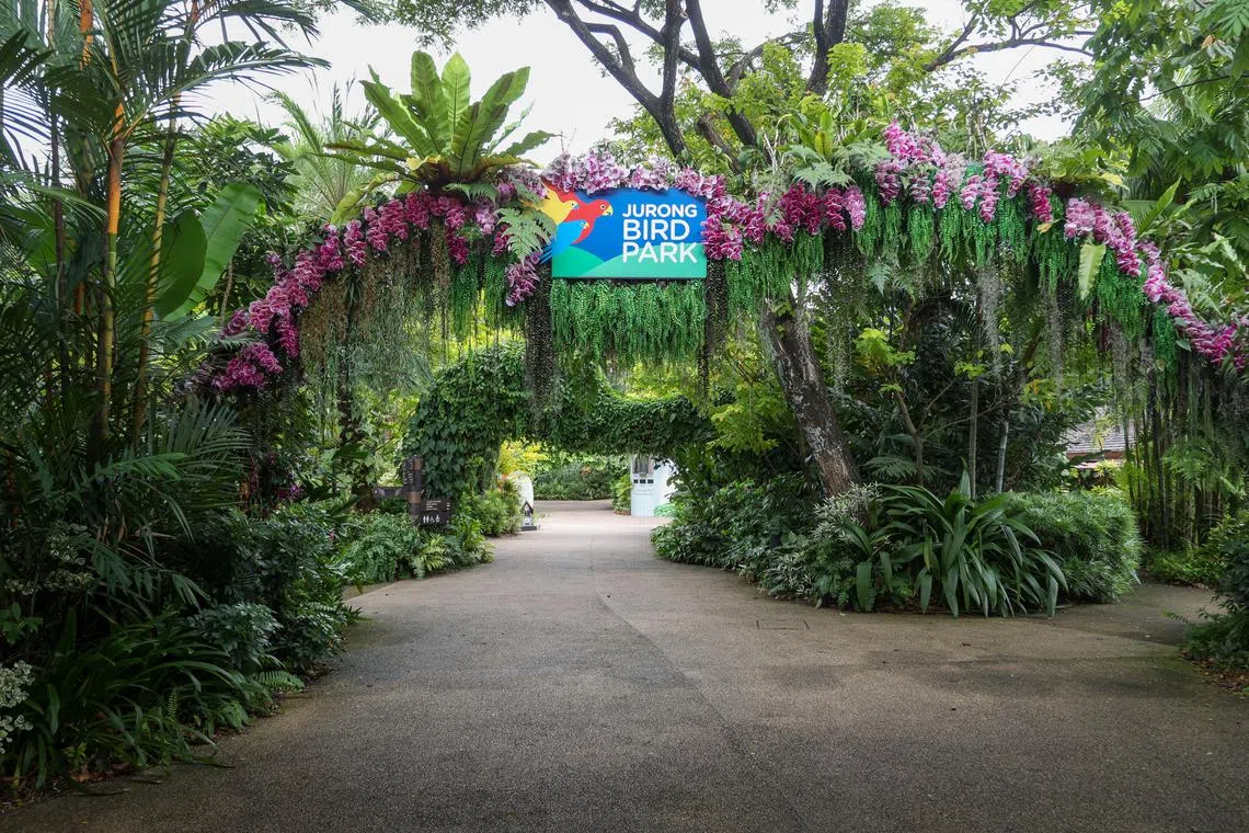 Jurong Bird Park and Jurong Hill Park collectively occupy an area of about 35ha.