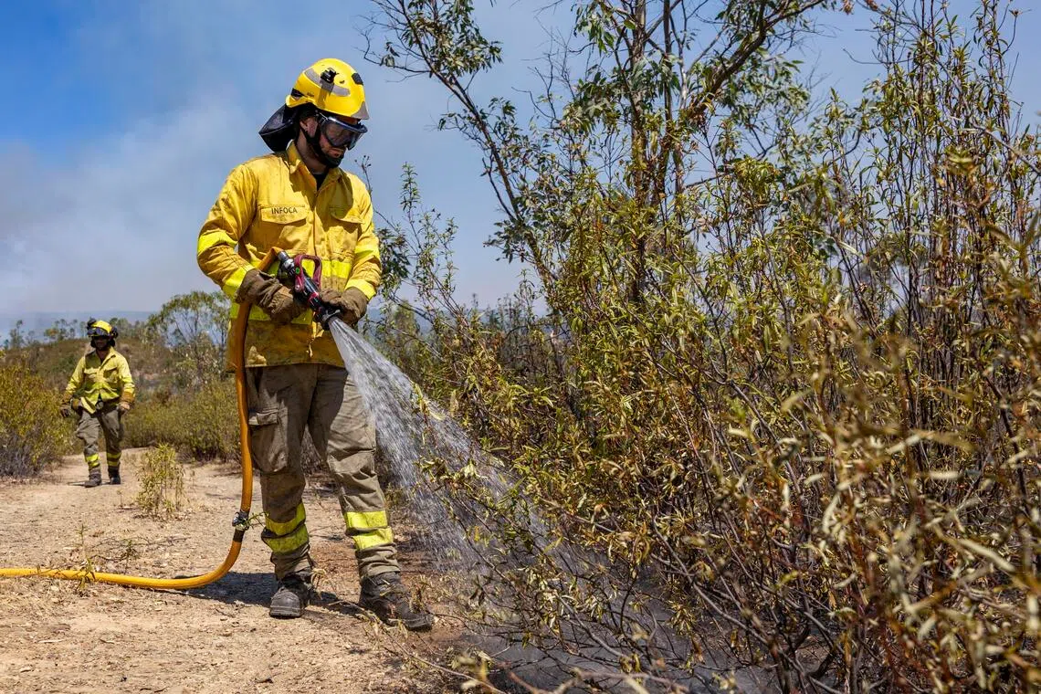 The blaze, happening north of the town of Niebla, was active in an area of around 4,000ha.