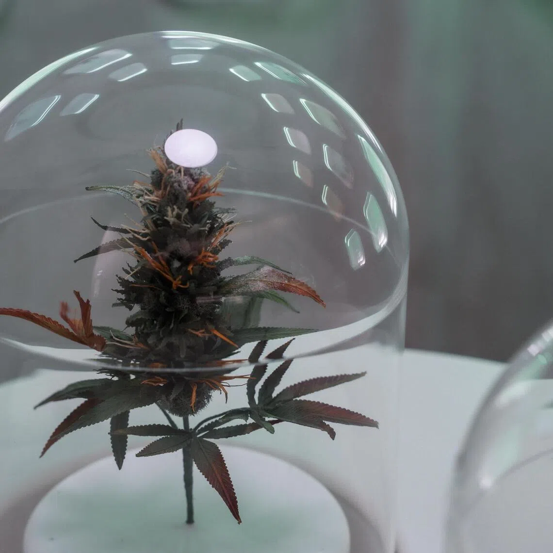 Each monk carried about 5kg of the narcotic concealed within false walls in their luggage.