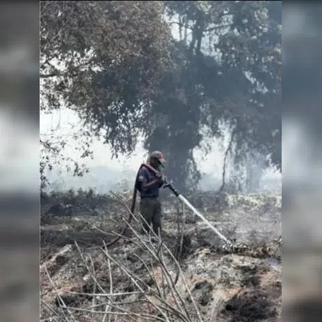 A total of 35 firefighters have been deployed, as well as personnel from several agencies including the police, Civil Defence Force and Environment Department.