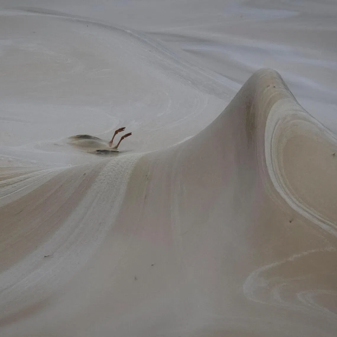 A dead bird lies covered in sunflower oil on Dec 24, following a spill from a port terminal that was hit by a Russian missile and drone attack in the southern Ukrainian city of Odesa.