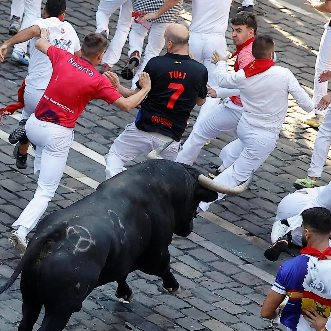 Runners are chased by bulls from the Jandilla ranch during the final bull run of the San Fermin festival in Pamplona, Navarra, northern Spain, on July 14.