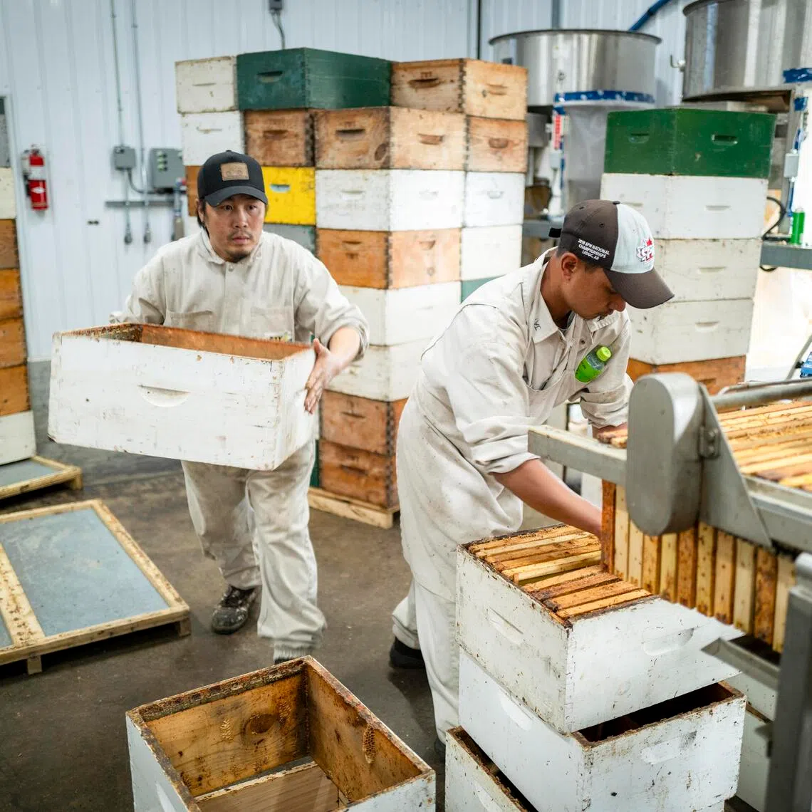 Rain and US President Donald Trump’s trade war have combined to threaten Canada’s honey industry.