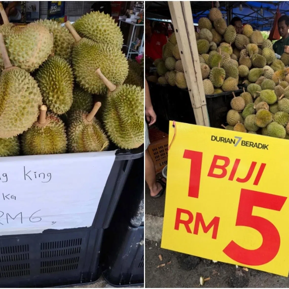 The expansion of local durian cultivation in recent years, combined with tighter restrictions in certain export markets, has led to a significant spike in supply in Malaysia.