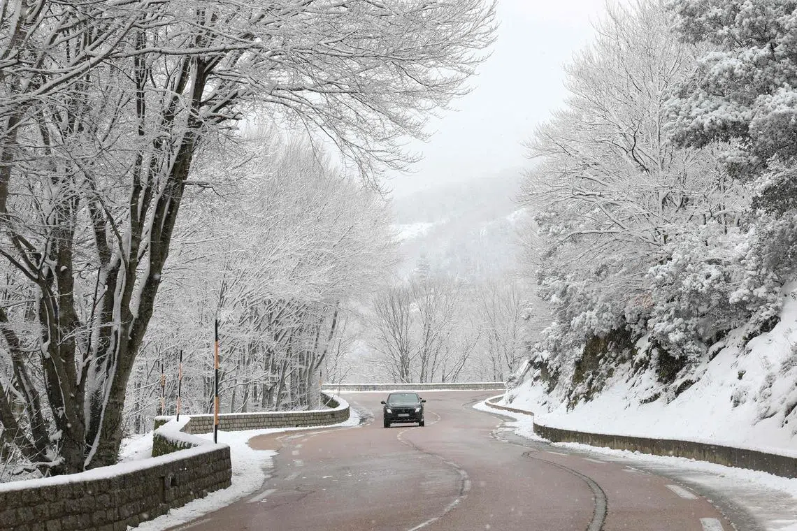 ‘Coolcation’ trend heats up as travellers flee rising temperatures