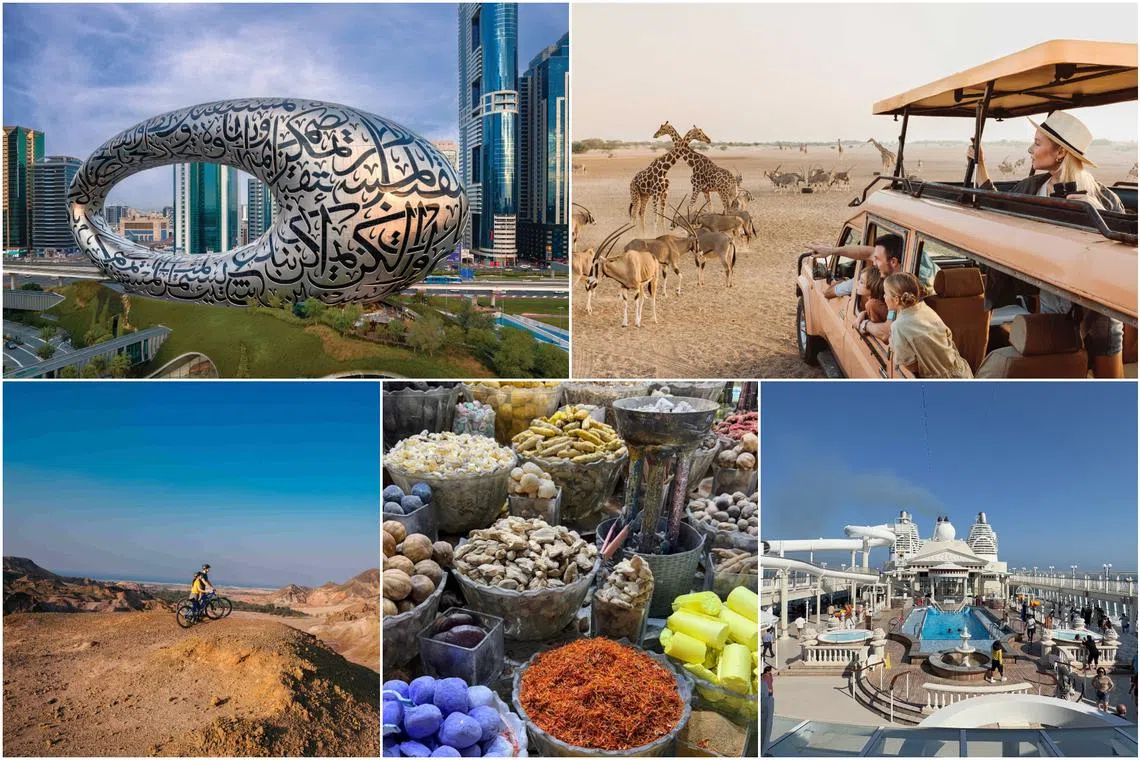ST rounds up five highlights, including a trip to Sir Bani Yas, the island off Abu Dhabi with a stunning coastline, and its Arabian Wildlife Park, home to giraffes, zebras and more.