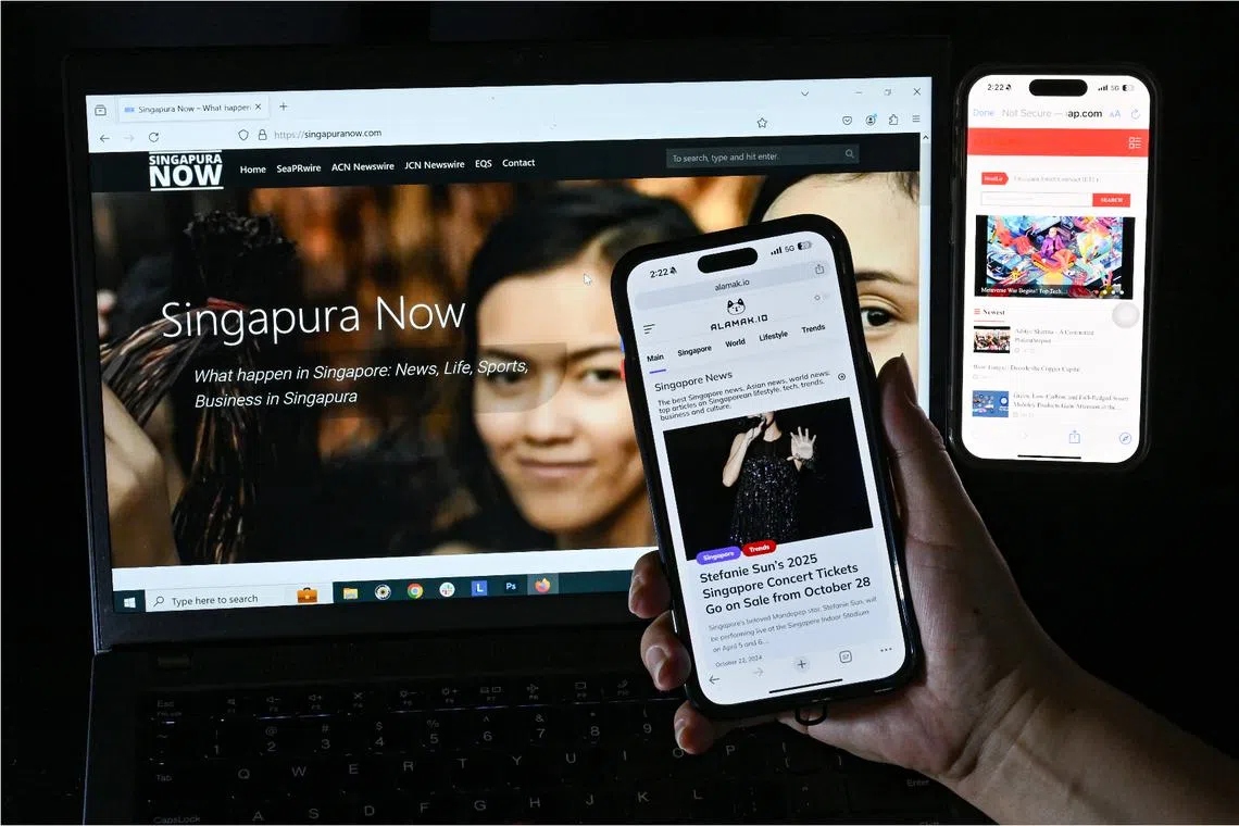 The websites mimic typical news publications and are unlikely to raise suspicion to the untrained eye.