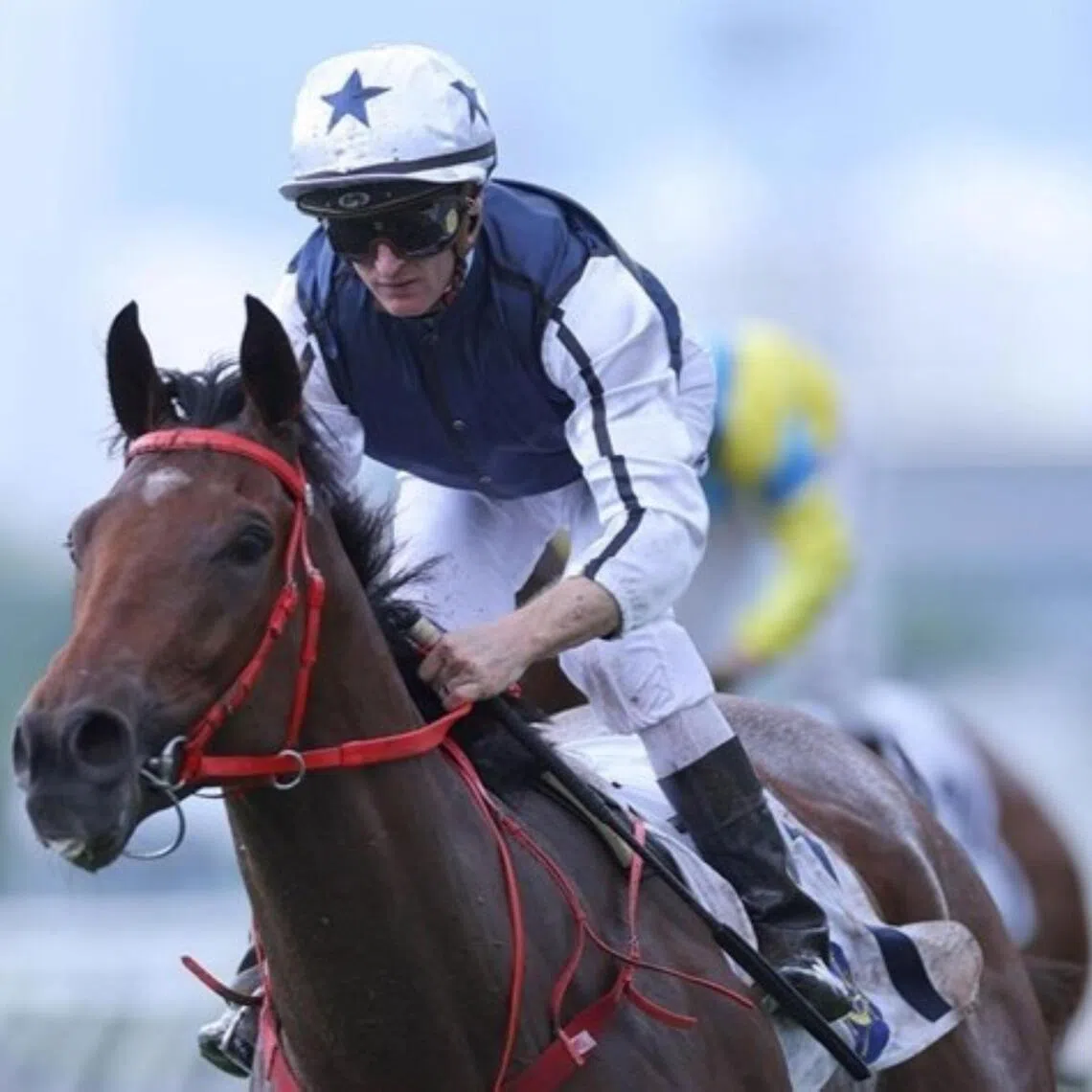 Champion jockey Zac Purton reunites with the Dennis Yip-trained Fast Network in the Class 1 Essex Handicap (1,200m) at Sha Tin on March 8. The pair combined seven times for three wins previously.
