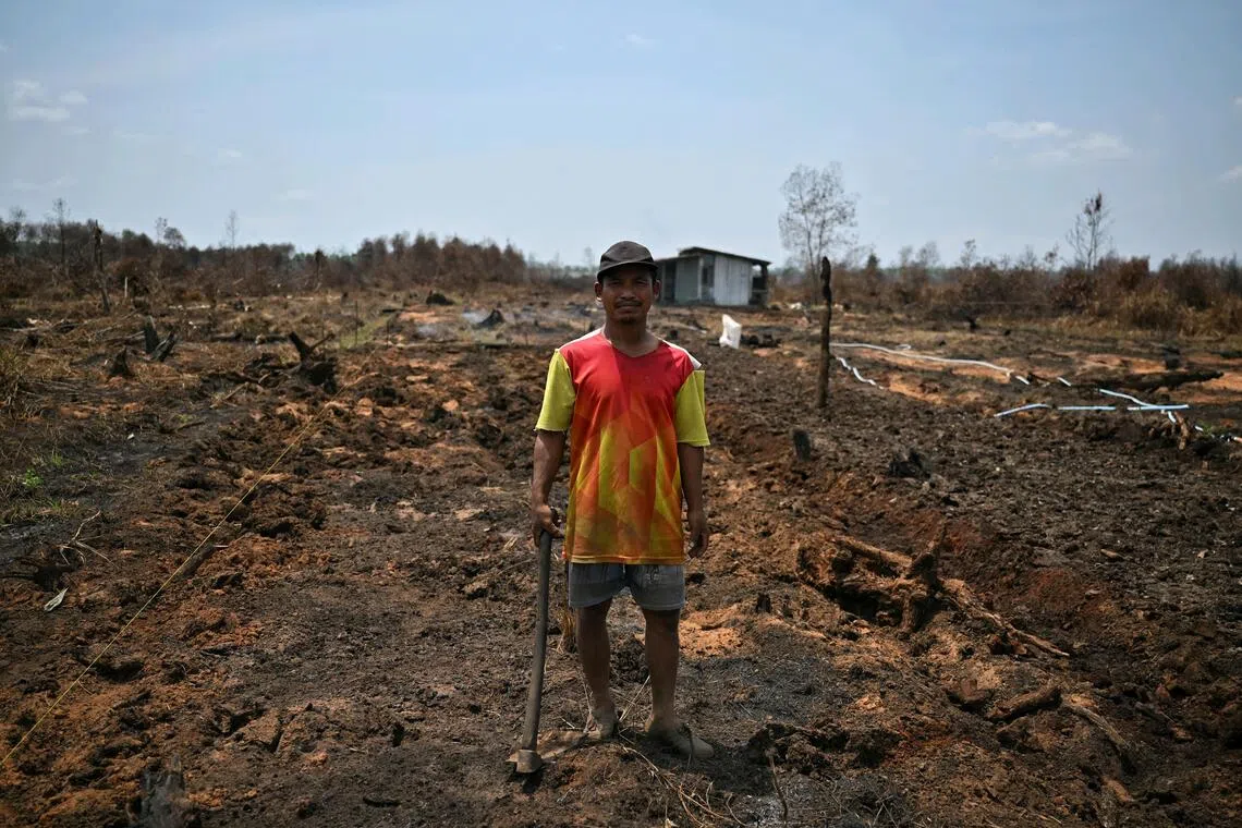 Farmer Adi Siswoyo, 43, surveys the charred remains of his plantation after a wildfire.