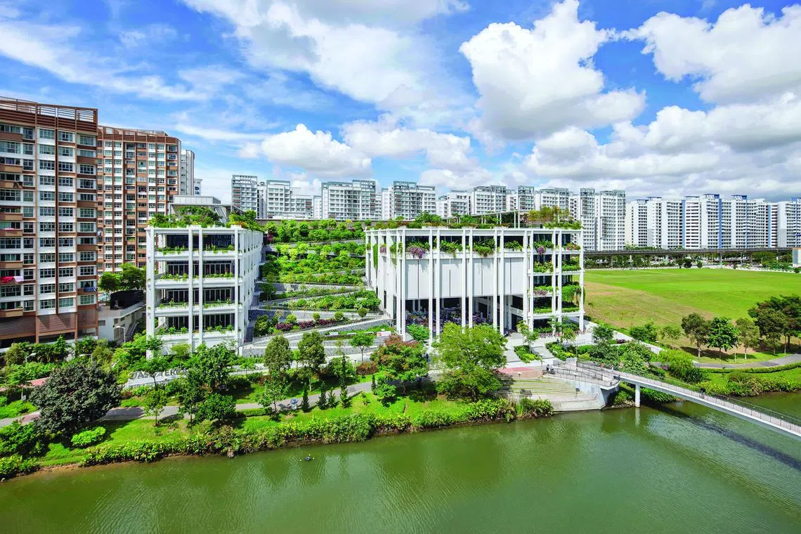 Oasis Terraces, a lushly vegetated waterfront hub in Punggol that integrates healthcare, retail, residential and transport within a green ecosystem. The development received acclaim locally and abroad, including an award at the World Architecture Festival. PHOTO: CCDC