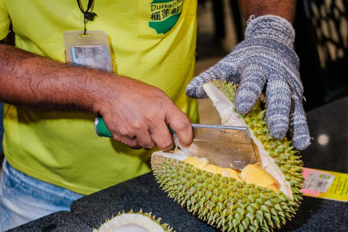 A seller cuts open a durian, which has spikes so sharp that many use gloves to handle them, in Kuala Lumpur, Malaysia, April 22, 2024. China’s demand for the fruit, that depending on the variety can sell for anywhere from $10 to hundreds of dollars for a single one, is creating fortunes and reshaping parts of Southeast Asia, where it has long been a staple. (Gabriela Bhaskar/The New York Times)