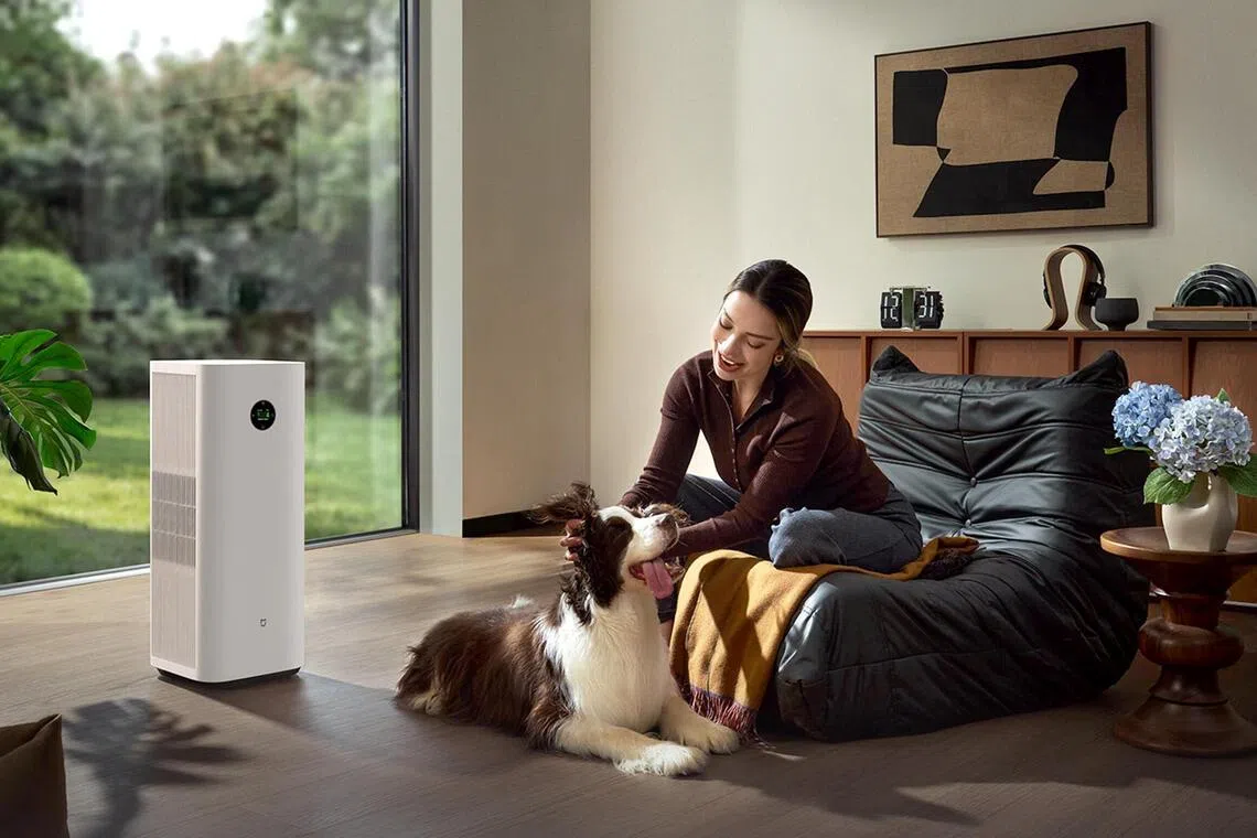 Portable air purifiers can help to filter particulates out of the air.