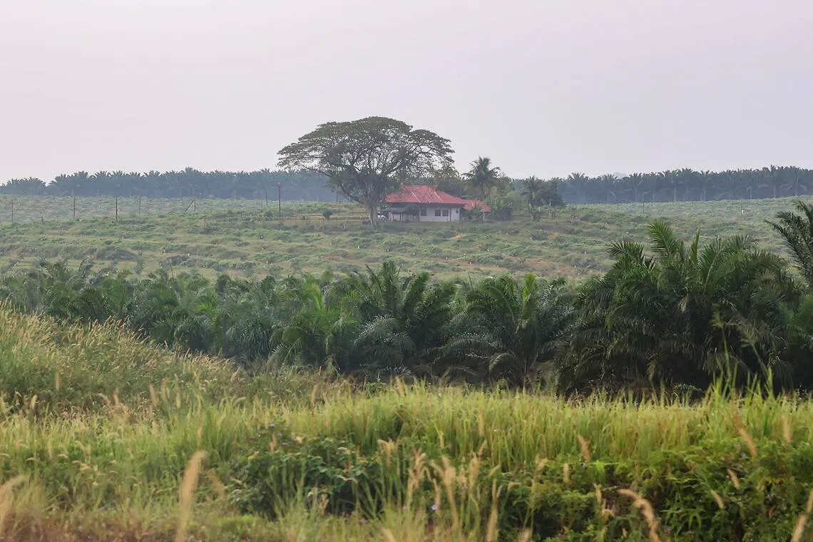 Heatwave in the northern Malaysia to last until April