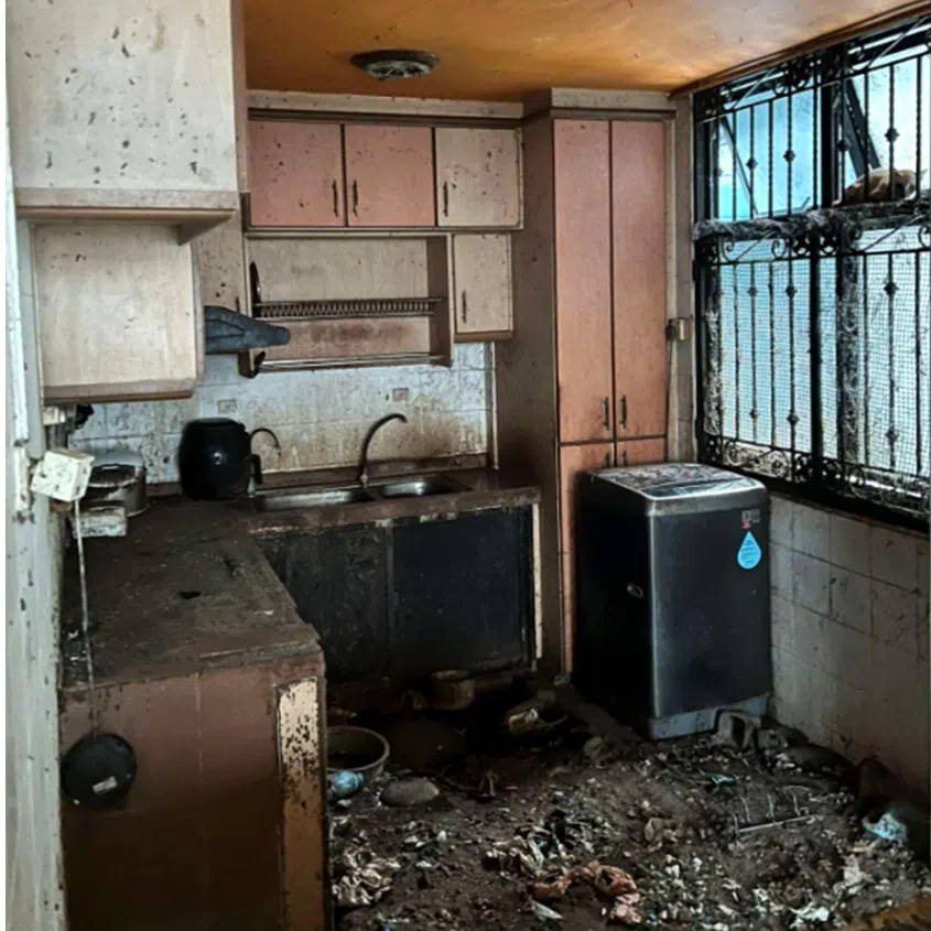 The condition of the HDB flat in Bukit Panjang, where the 71 abandoned cats had to survive for nearly two years.