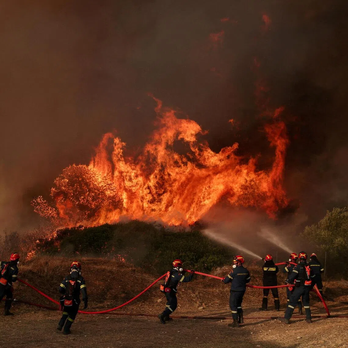 At least 172 firefighters and around 40 vehicles have been deployed to fight the blaze in Kouvaras, 60km south-east of Athens.