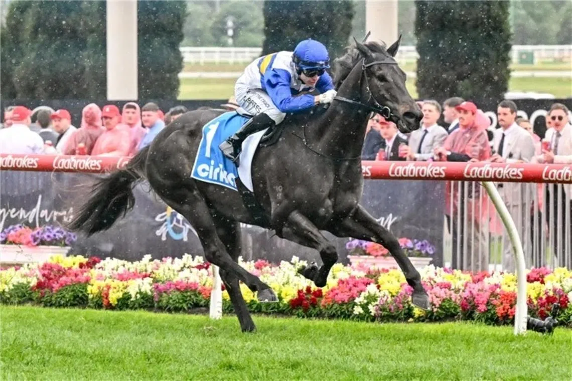 Alderson’s big leap with Jigsaw in New Zealand Group 1 race