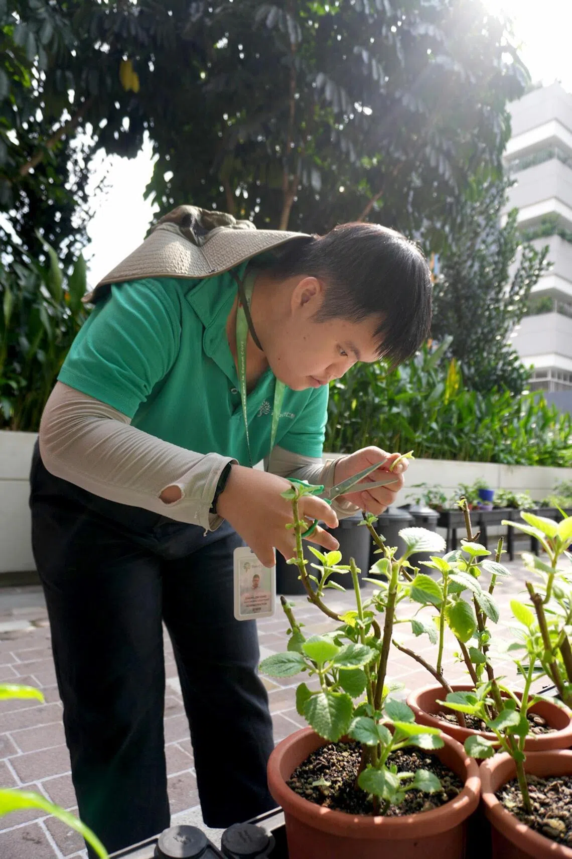 Former APSN student Chang Zhi Kang now works as a gardening assistant at Ren Ci Hospital.
