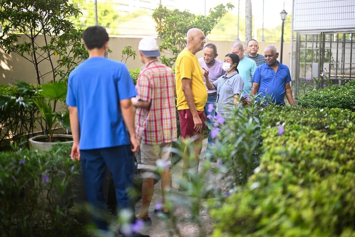 Care coordinator Thi Thi Lwin (wearing face mask) accompanying residents on a walk in the S.E.E.D Garden at St Andrew’s Nursing Home (Buangkok).