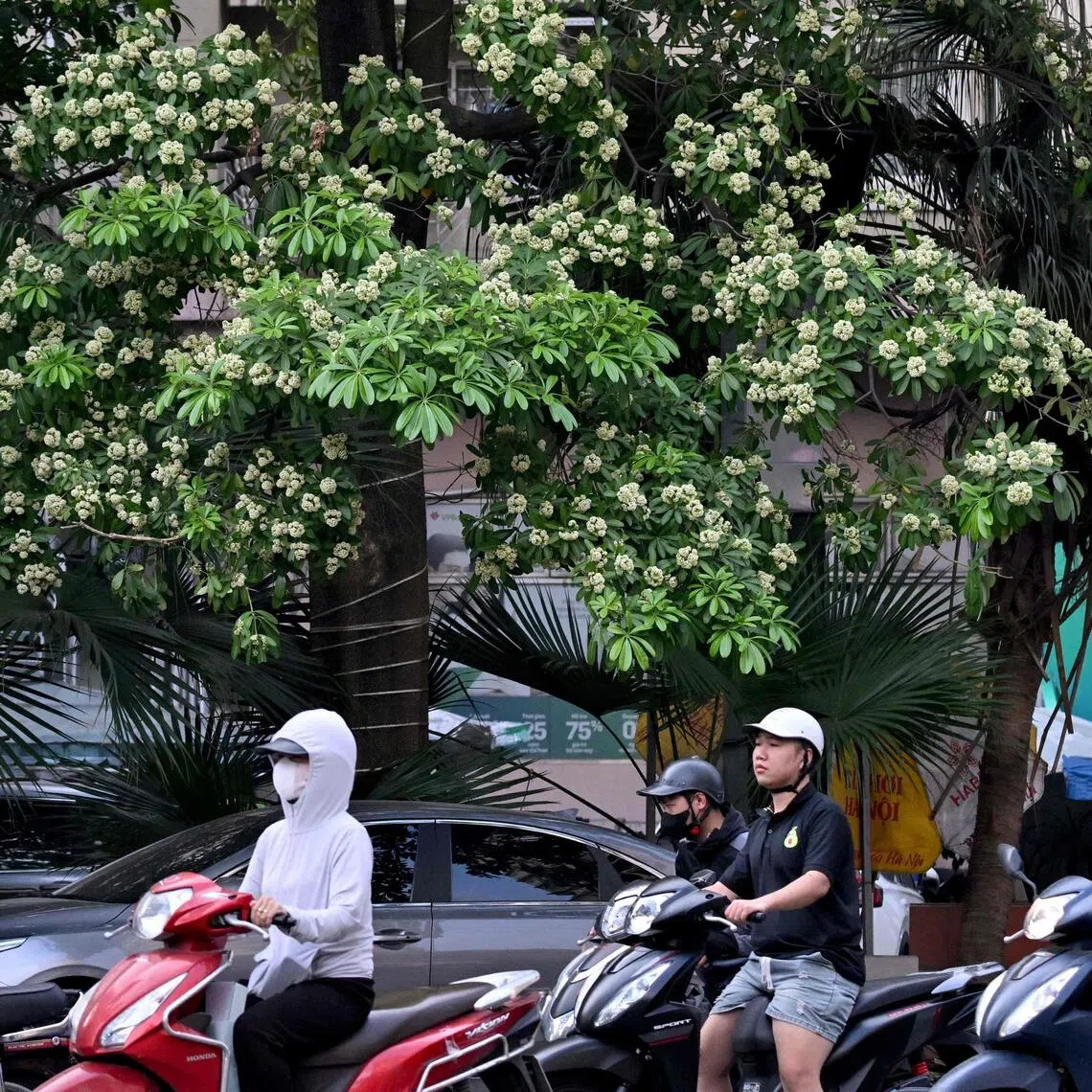In Vietnam, air pollution is on the rise with daily average PM2.5 frequently exceeding the national limit at monitoring stations across the eight northern localities.