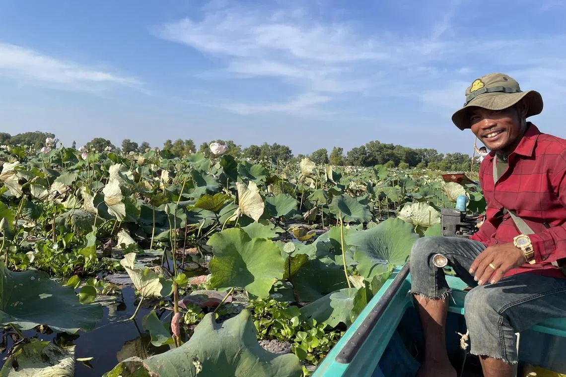 Discover local activities such as visiting a lotus farm in Siem Reap, which is well known for its historical temples.