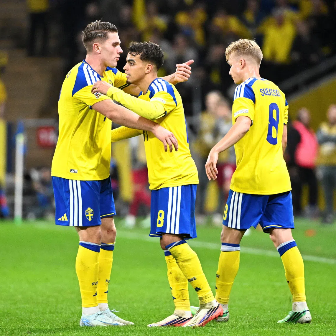 The Swedes are top of League B4 with two wins from two games, two points ahead of Bosnia.