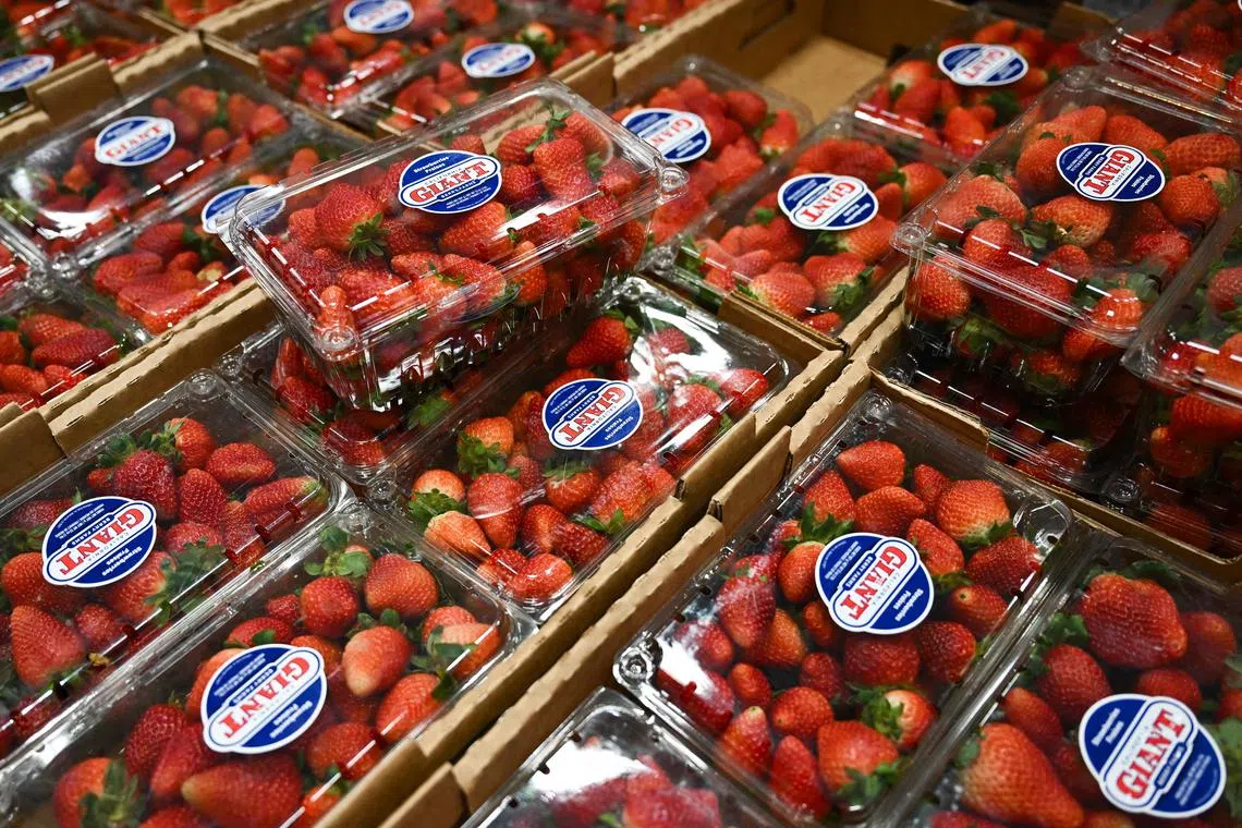 The growth of the strawberry has been headlong, and shows few signs of slowing, says the writer.