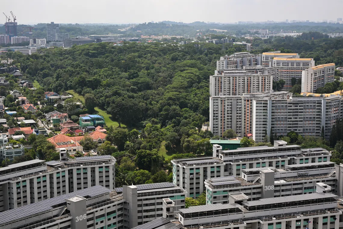 For Maju Forest, nature groups have asked for the green corridor to be widened for a more continuous vegetated area for animals to forage.