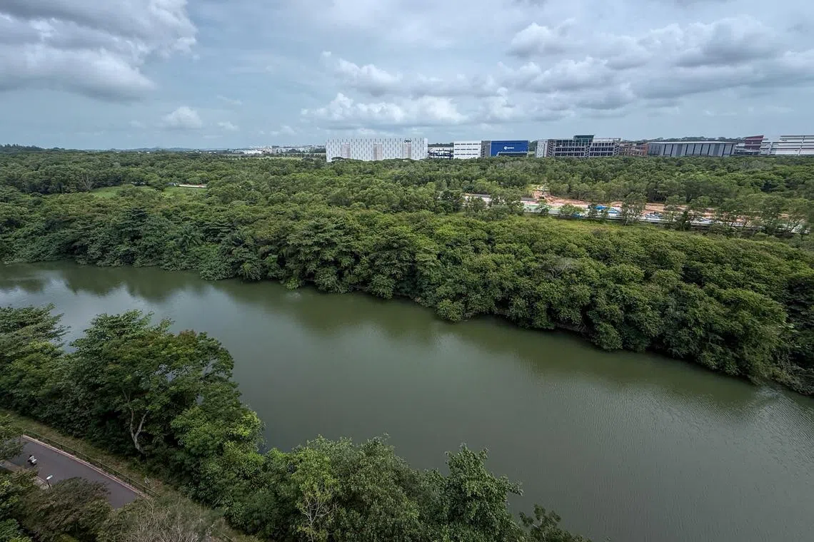The construction site of the bus depot in Serangoon River forest pictured from Kingsford Waterbay condominium on Jan 5.