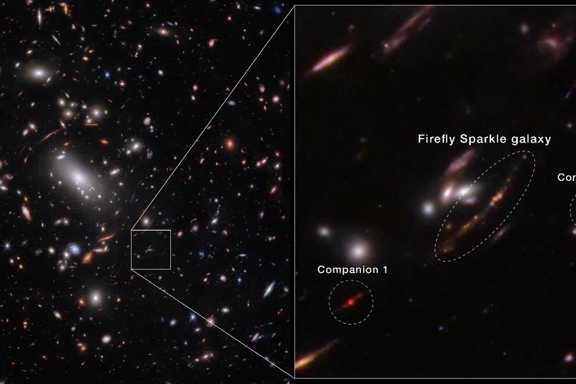 An image acquired by the James Webb Space Telescope, using the NIRCam instrument, shows a newly identified galaxy, the Firefly Sparkle, that is in the process of assembling and forming stars, and existed about 600 million years after the Big Bang, along with two neighboring galaxies. Overlayer added by source. NASA, ESA, CSA, STScI/Chris Willott (NRC-Canada), Lamiya Mowla (Wellesley College), Kartheik Iyer (Columbia)/Handout via REUTERS